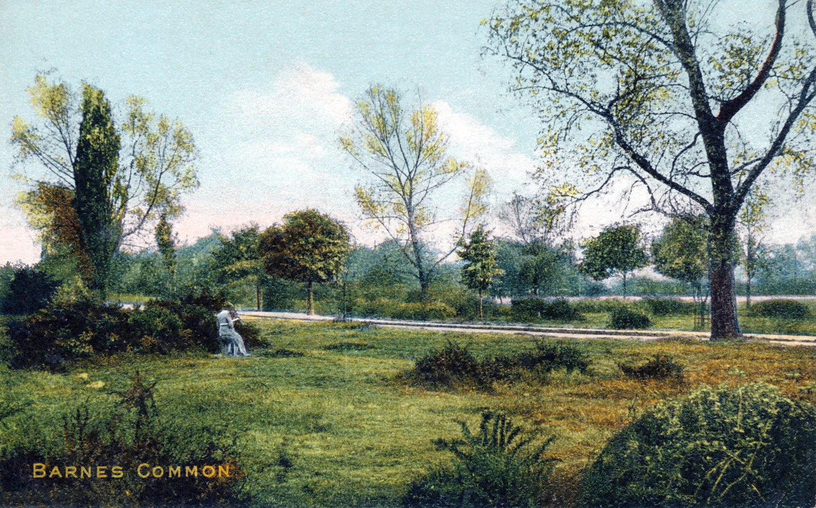 Barnes Common,park-countryside